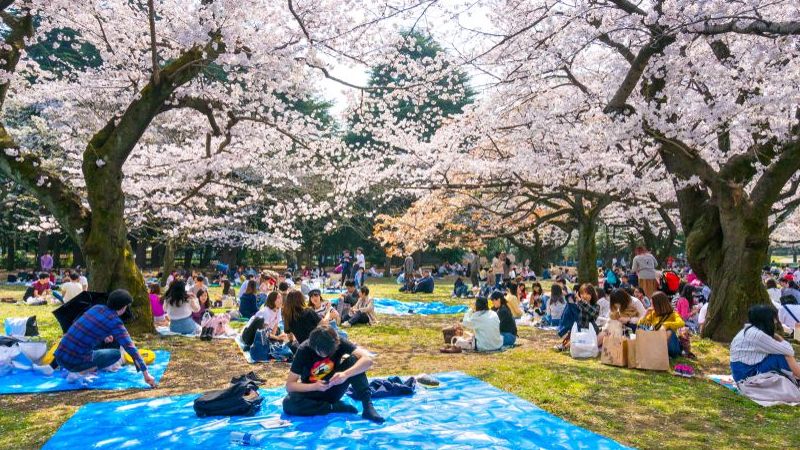 Parque Yoyogi, qué ver y cómo llegar