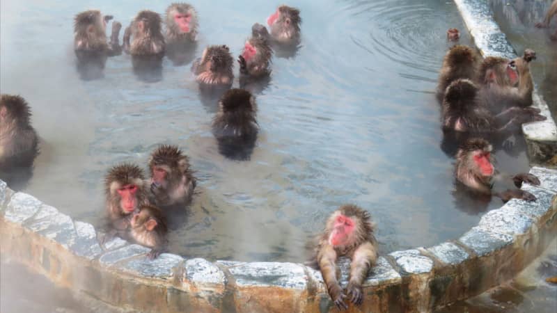 Yunokawa hot spring