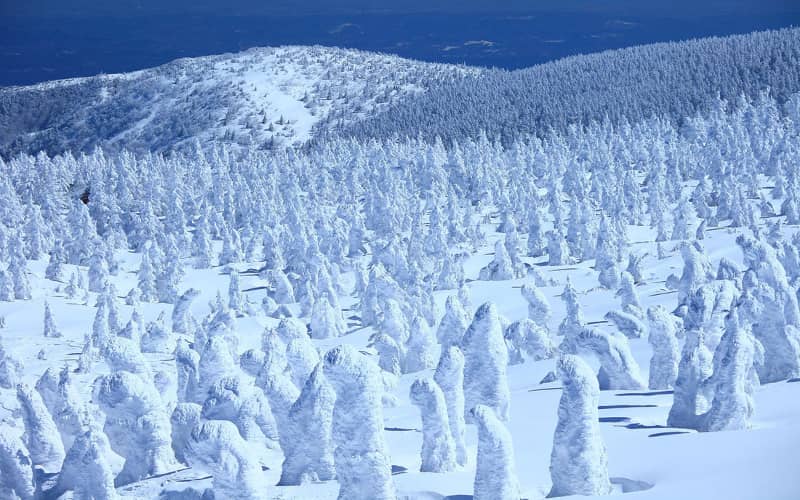 zao onsen snow monsters