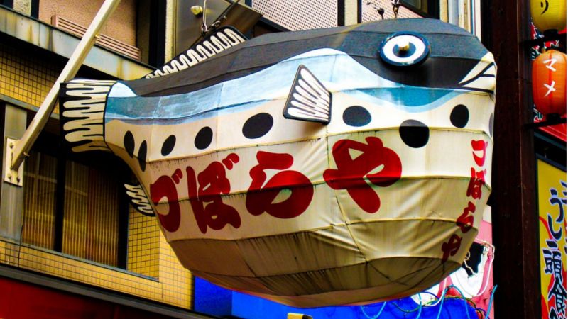 Zuboraya's iconic Blowfish lantern