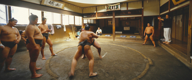 Sumo training at stable