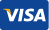 Visa icon